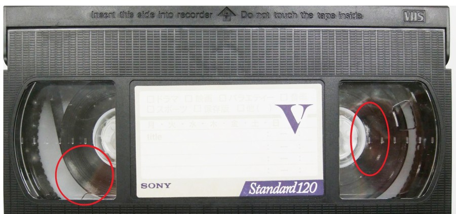 VHSカビ見本2-2